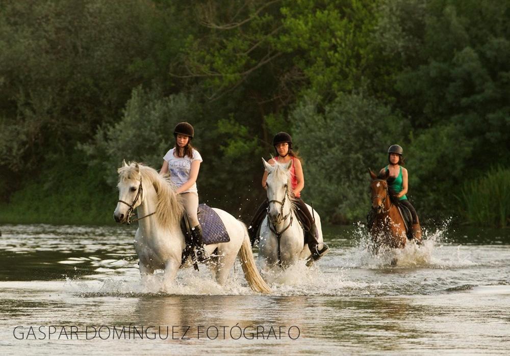 Complejo Oasis Beach Sobre El Rio Huerta  ภายนอก รูปภาพ