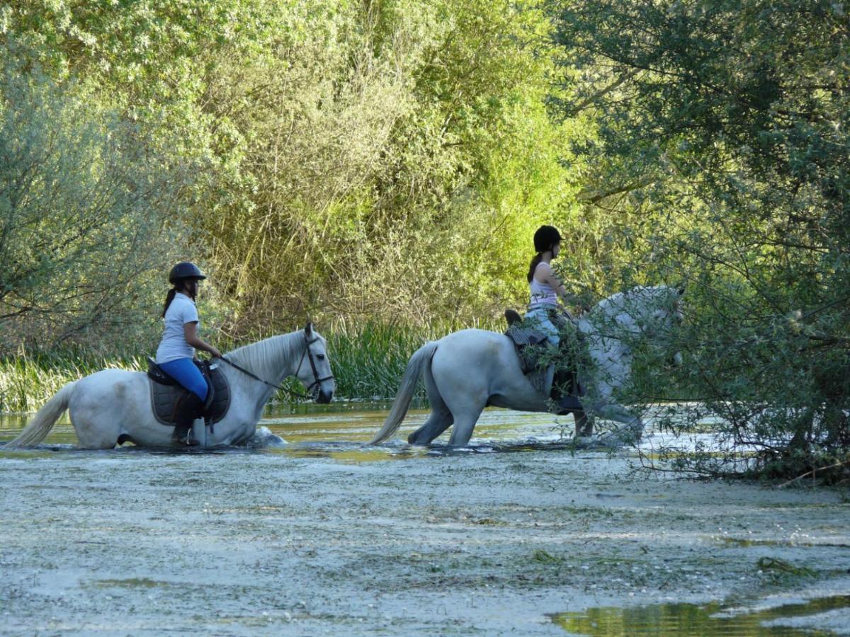 Complejo Oasis Beach Sobre El Rio Huerta  ภายนอก รูปภาพ