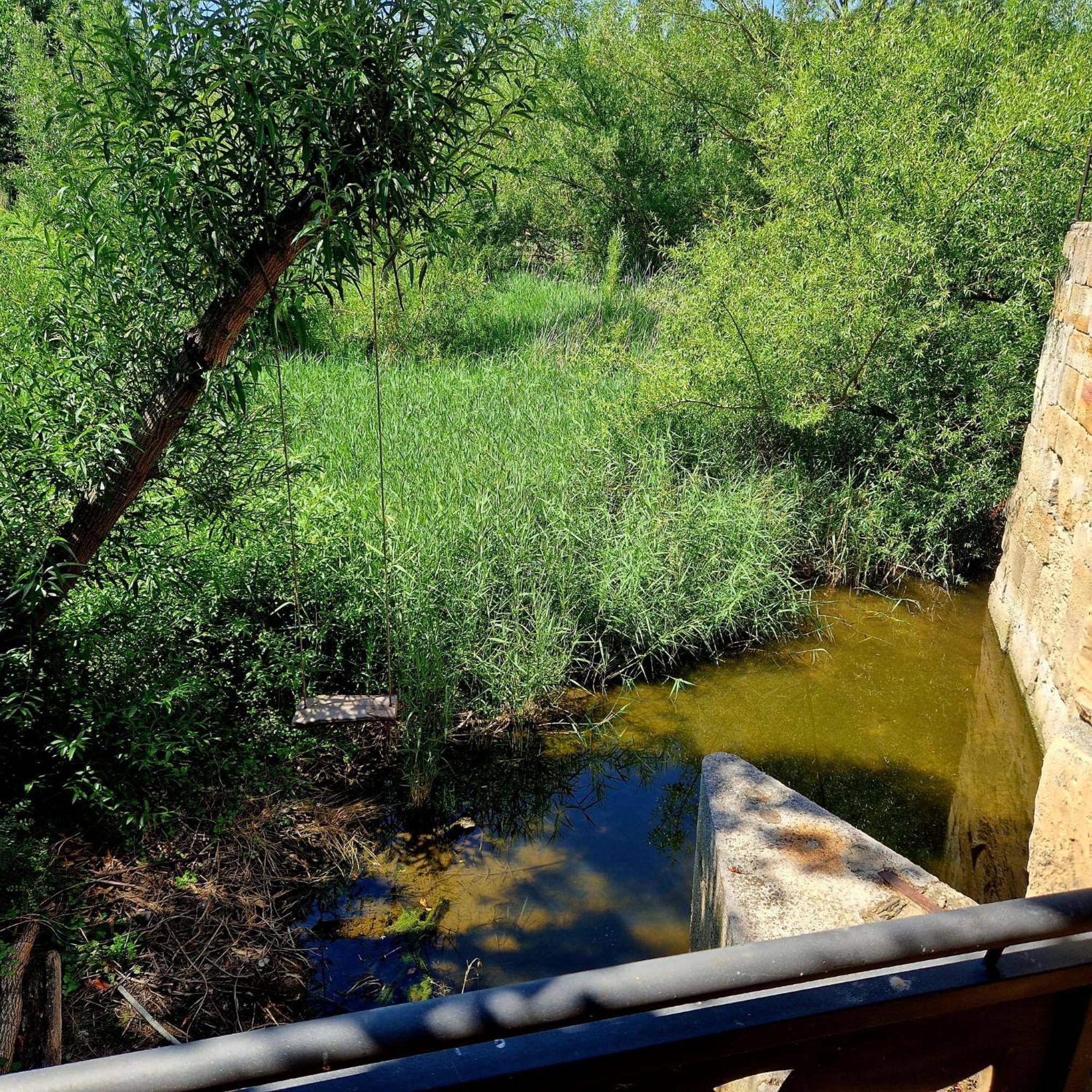 Complejo Oasis Beach Sobre El Rio Huerta  ภายนอก รูปภาพ